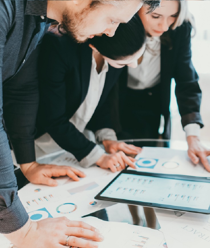 professional cooperation business partners report
